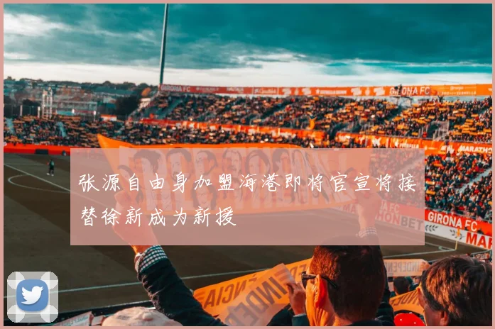张源自由身加盟海港即将官宣将接替徐新成为新援