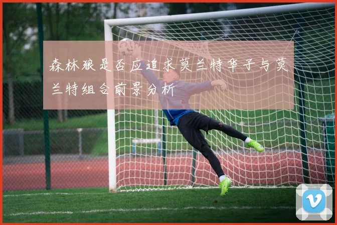 森林狼是否应追求莫兰特华子与莫兰特组合前景分析